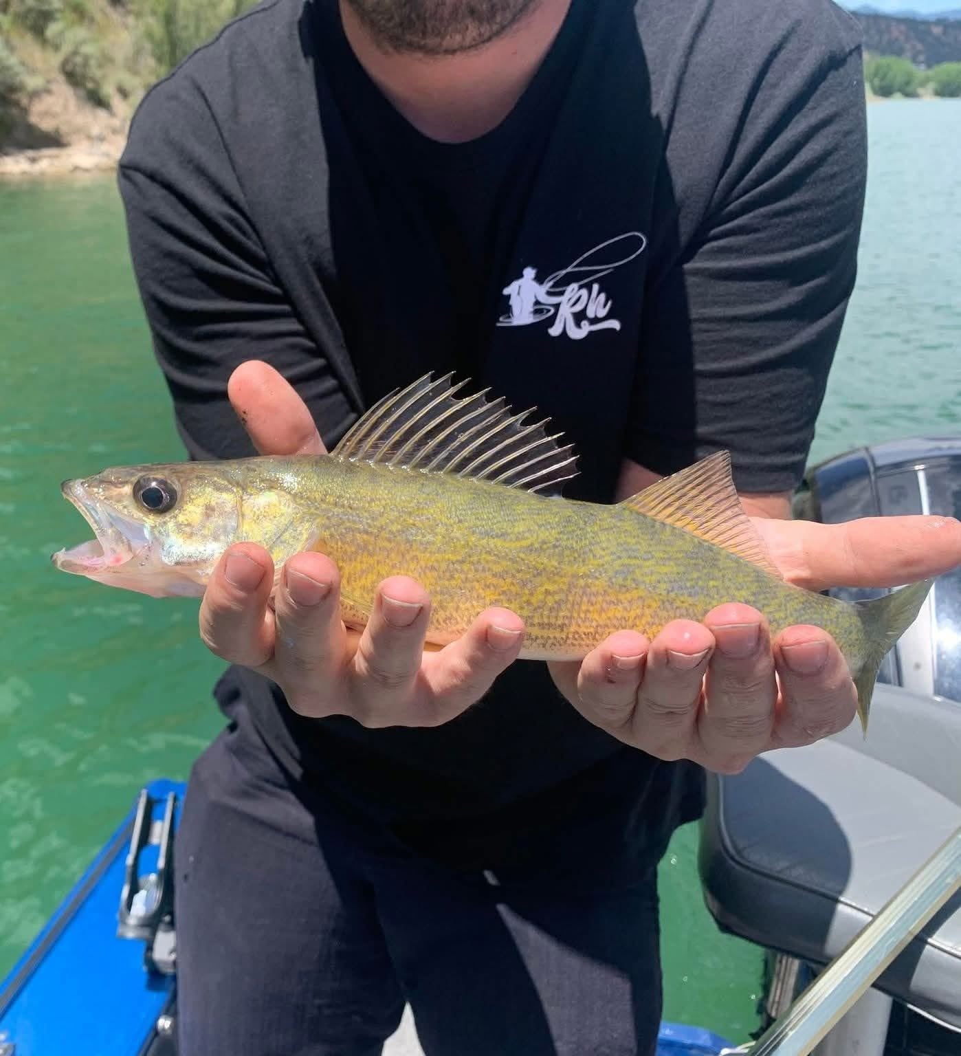 OG Tight Lines T-Shirt