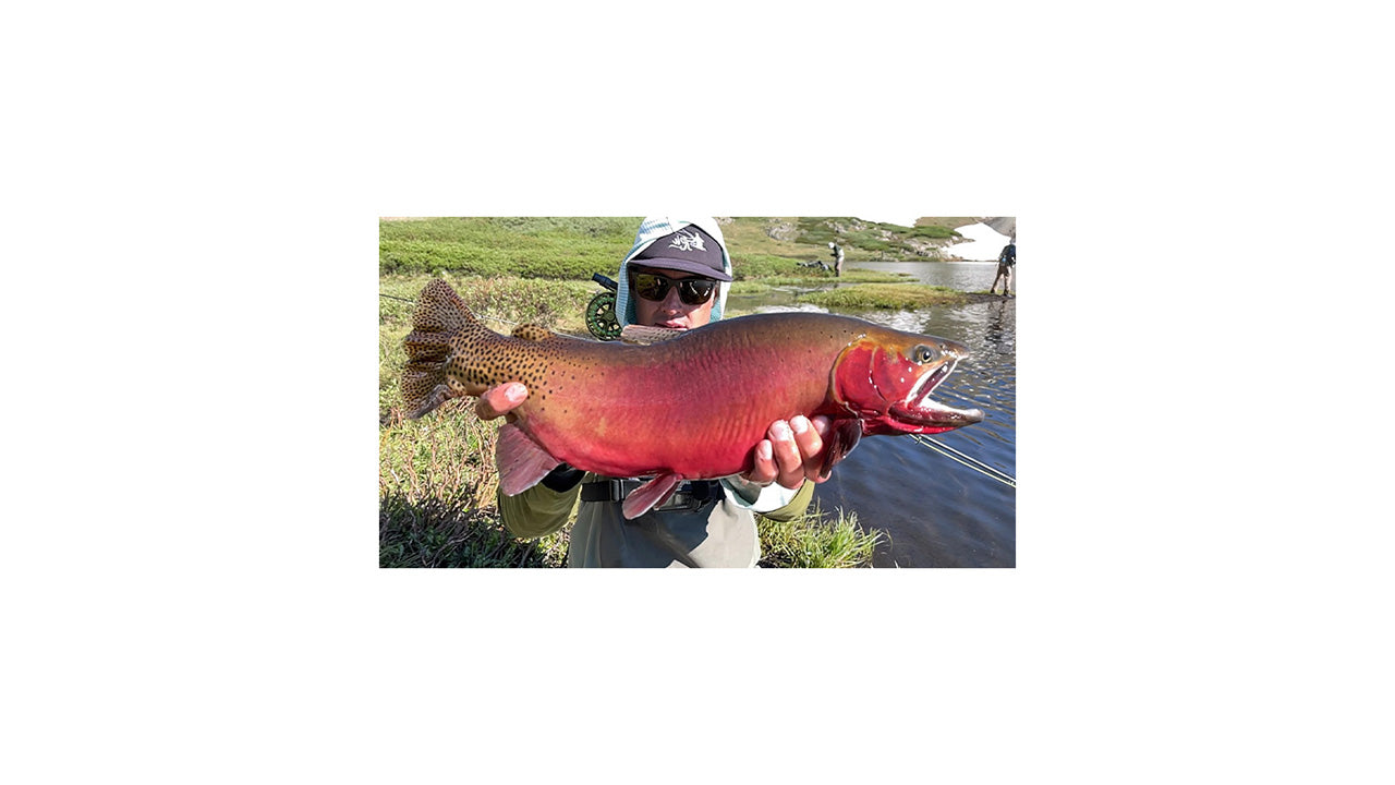 Fly Angler Trucker Hat